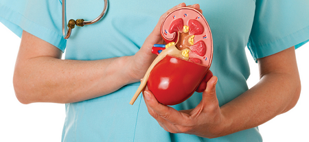 Protected: Renal Nutrition: